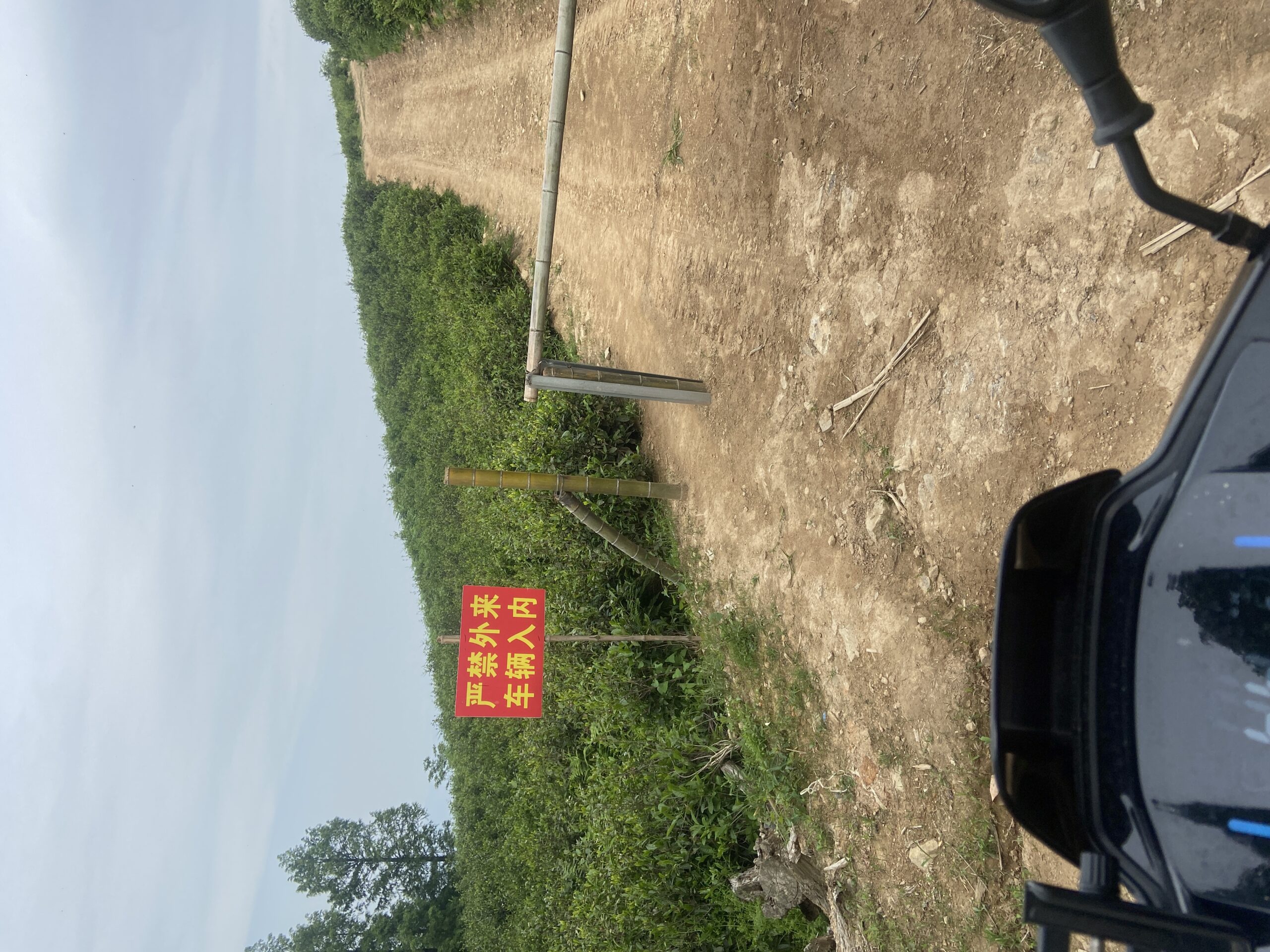 九号110P 同盘顶