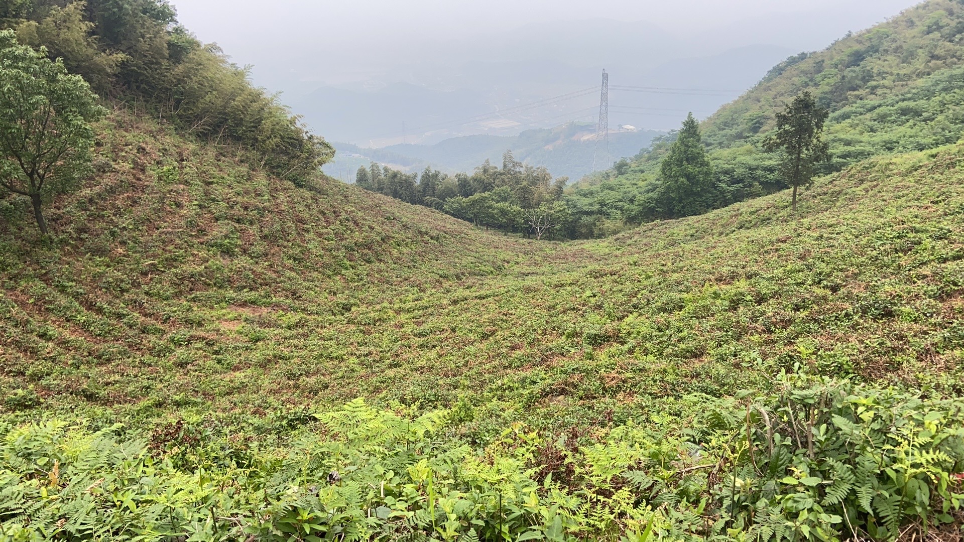 安顶山和同盘顶