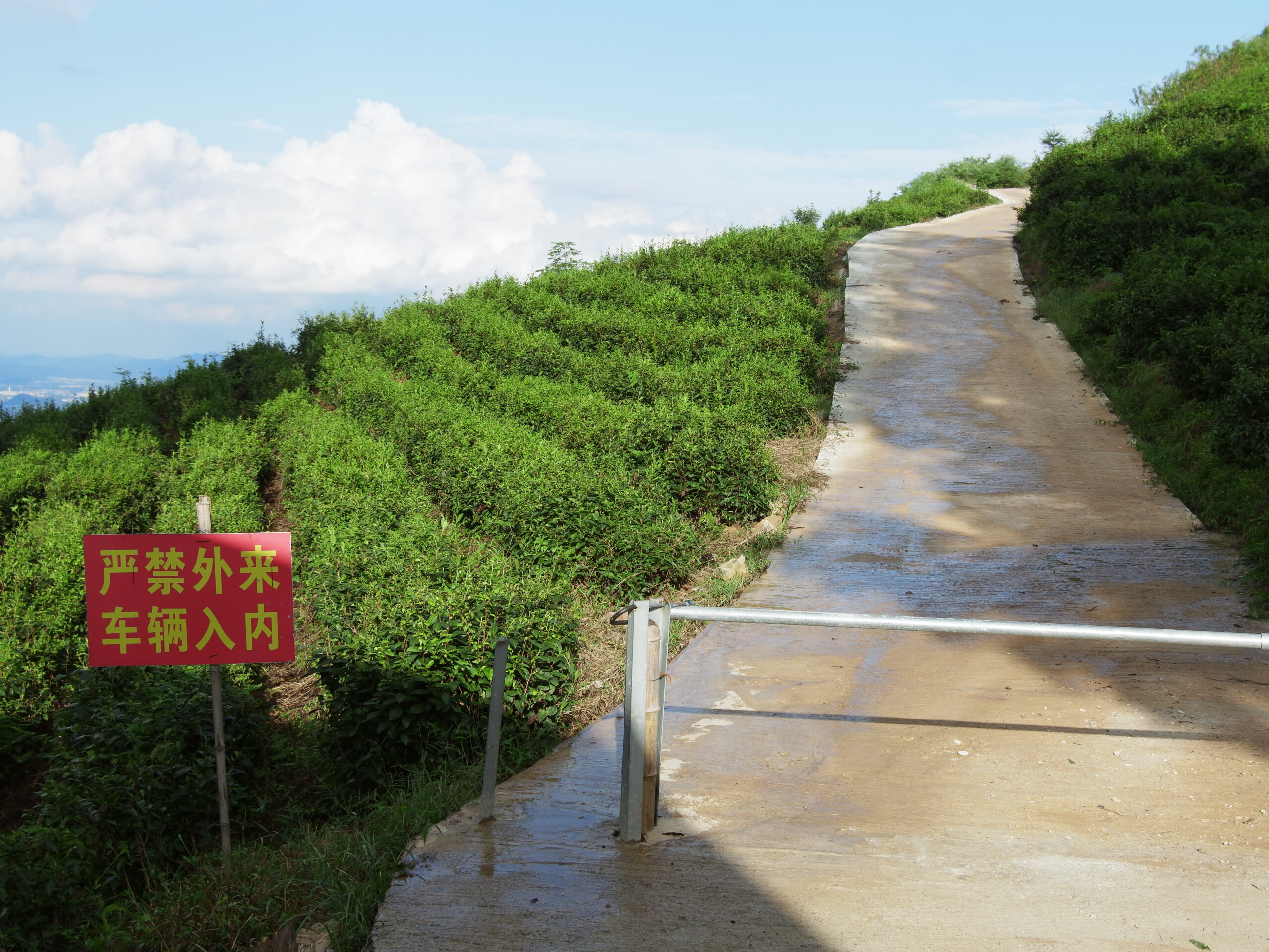 杭州市萧山区同盘顶