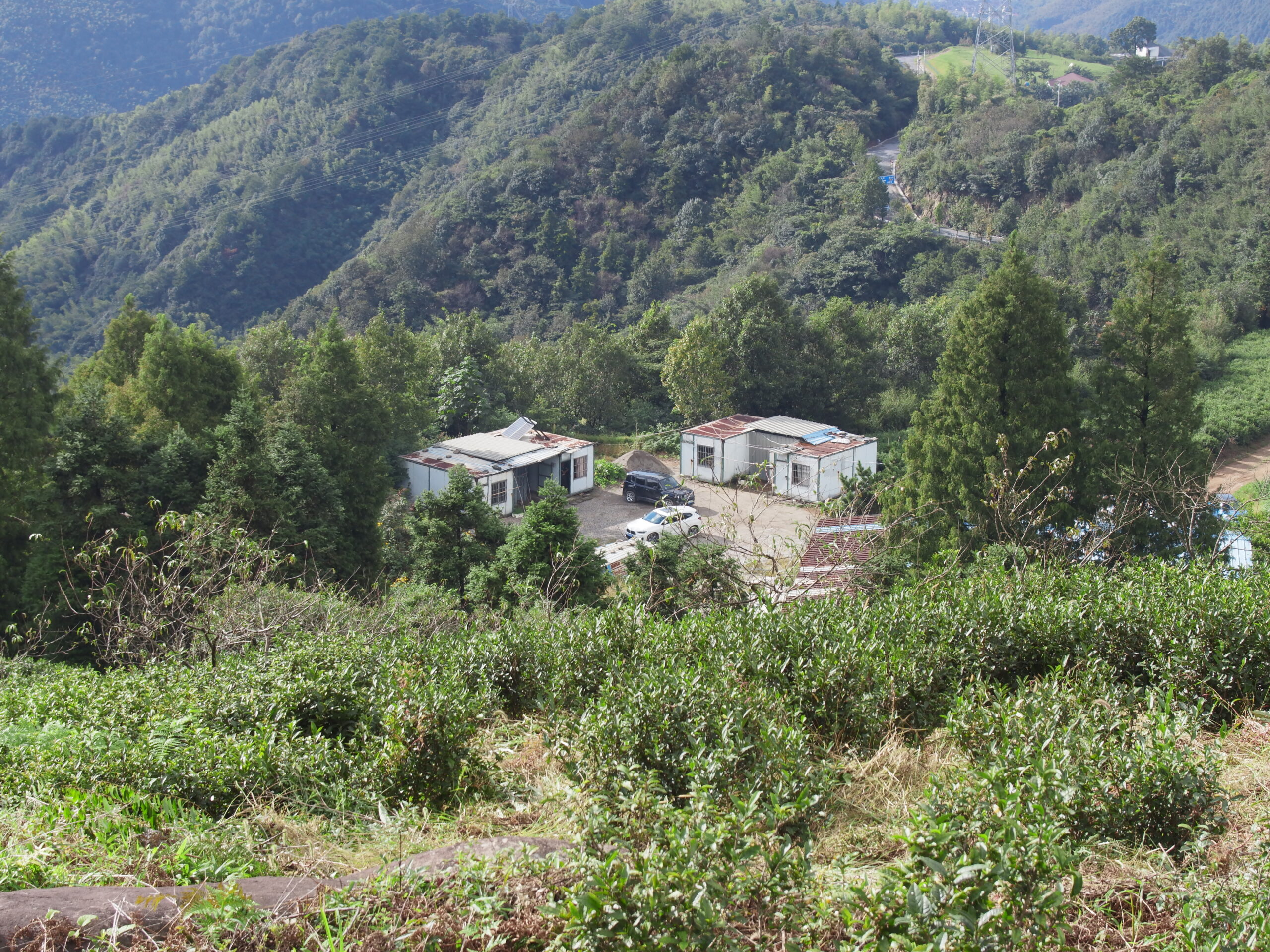 杭州市萧山区同盘顶