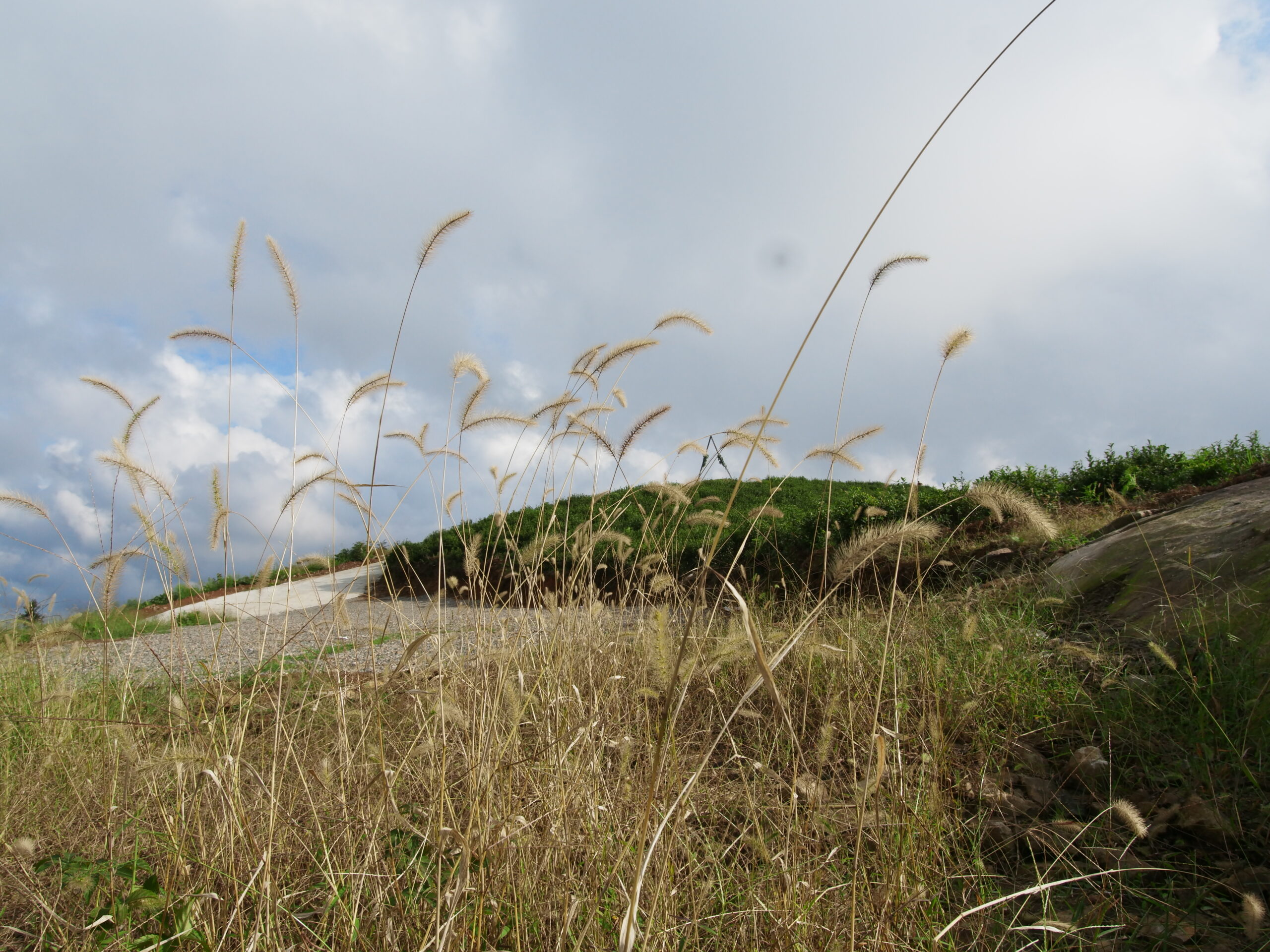 杭州市萧山区同盘顶
