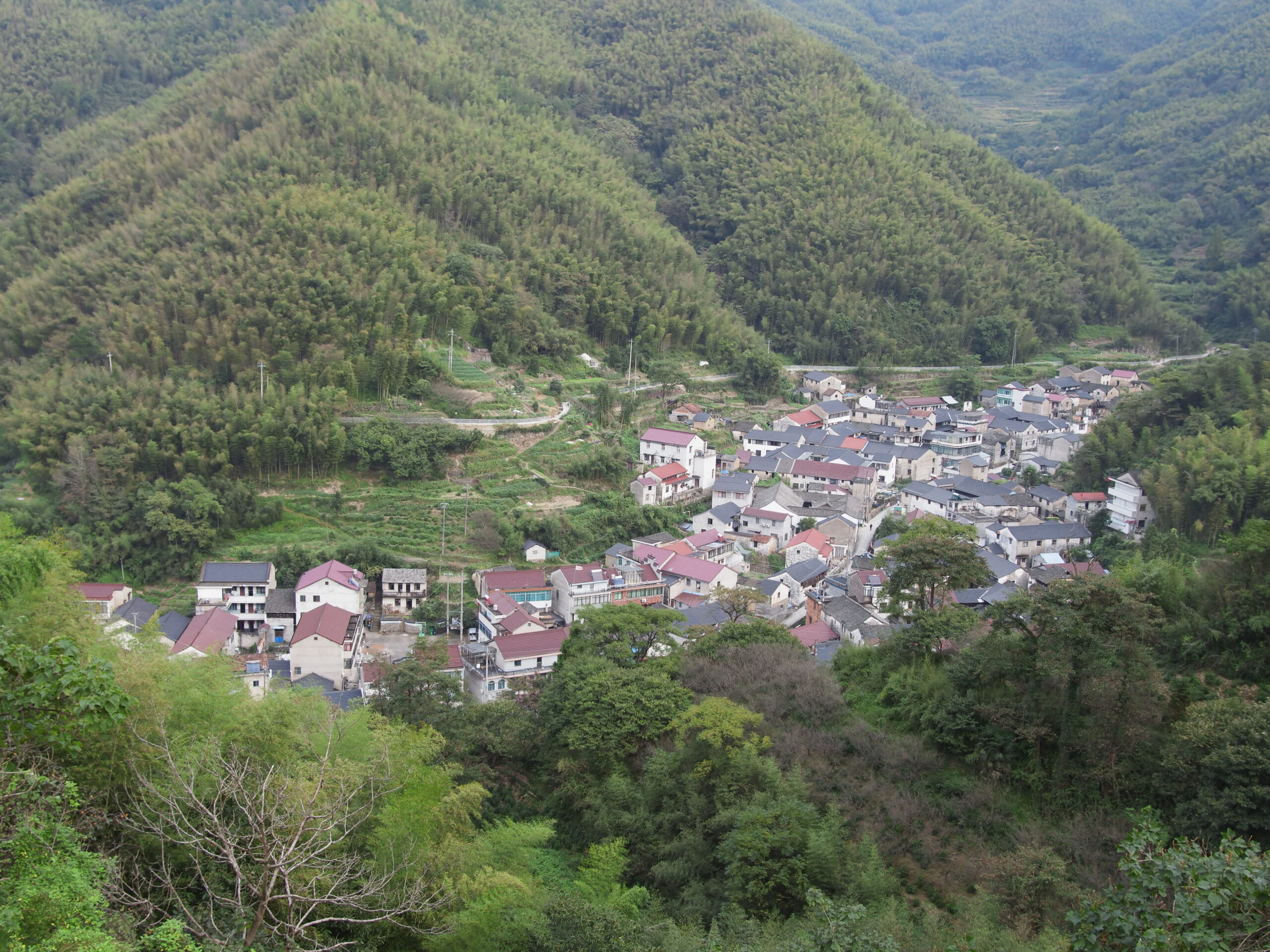 王崇线